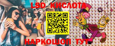 шишки Шелехов