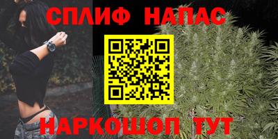гашик Шахты