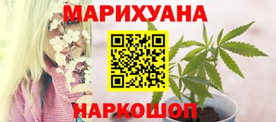 шишки Шелехов