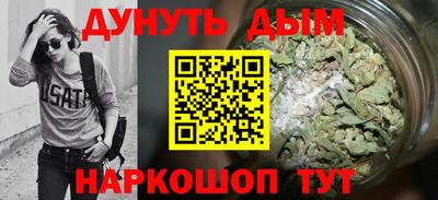 шишки Шелехов