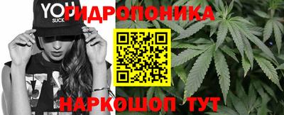 гашик Шахты
