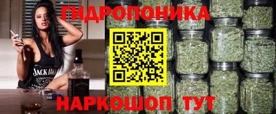шишки Шелехов